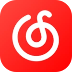 netease cloud music android application logo